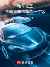 电车之王:开局狂赚特斯拉一个亿