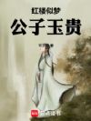 红楼似梦,公子玉贵
