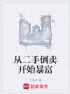 从二手倒卖开始暴富